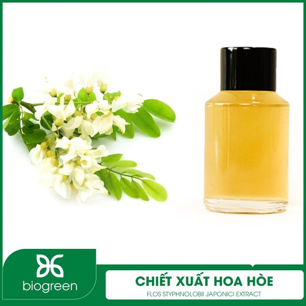 Ứng dụng của chiết xuất hoa hòe là gì?