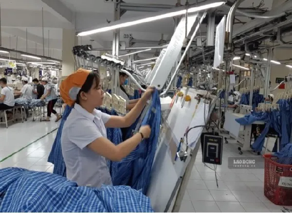 Dù thu nhập hơn 13 triệu đồng/tháng ngành may chật vật tìm người lao động 1