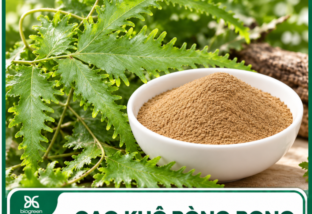 Bòng bong có tác dụng gì?